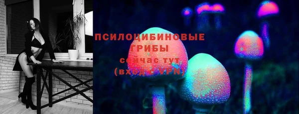 соль ск Бородино