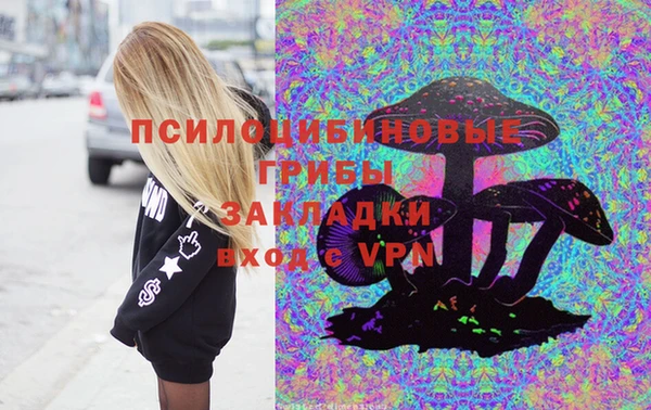 соль ск Бородино