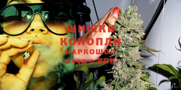 соль ск Бородино