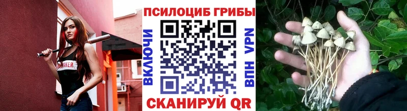 купить  цена  Вельск  Галлюциногенные грибы ЛСД 